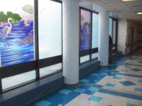 Перегородки